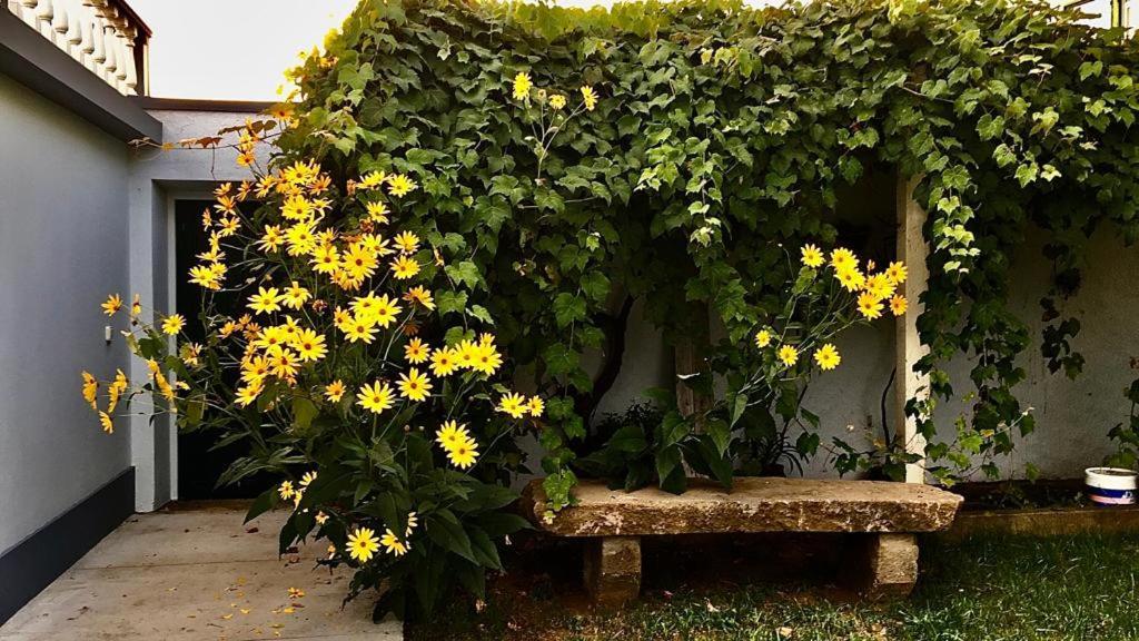 Вілла Casa As Nove Ангра-ду-Ероїшму Екстер'єр фото